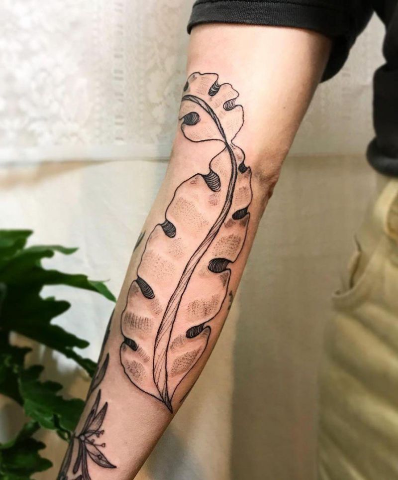 30 Perfect Kelp Tattoos You Must Try