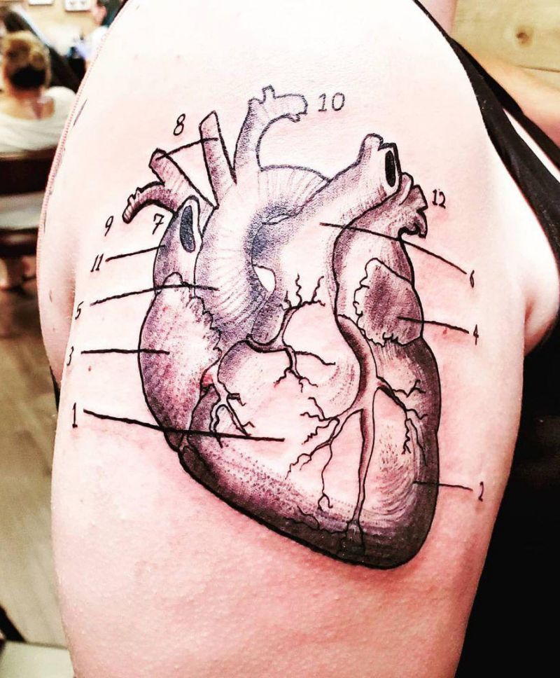 30 Pretty Anatomy Tattoos to Inspire You