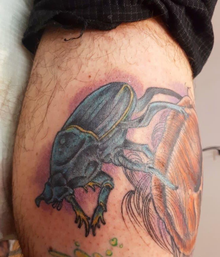 24 Pretty Dung Beetle Tattoos For Inspiration