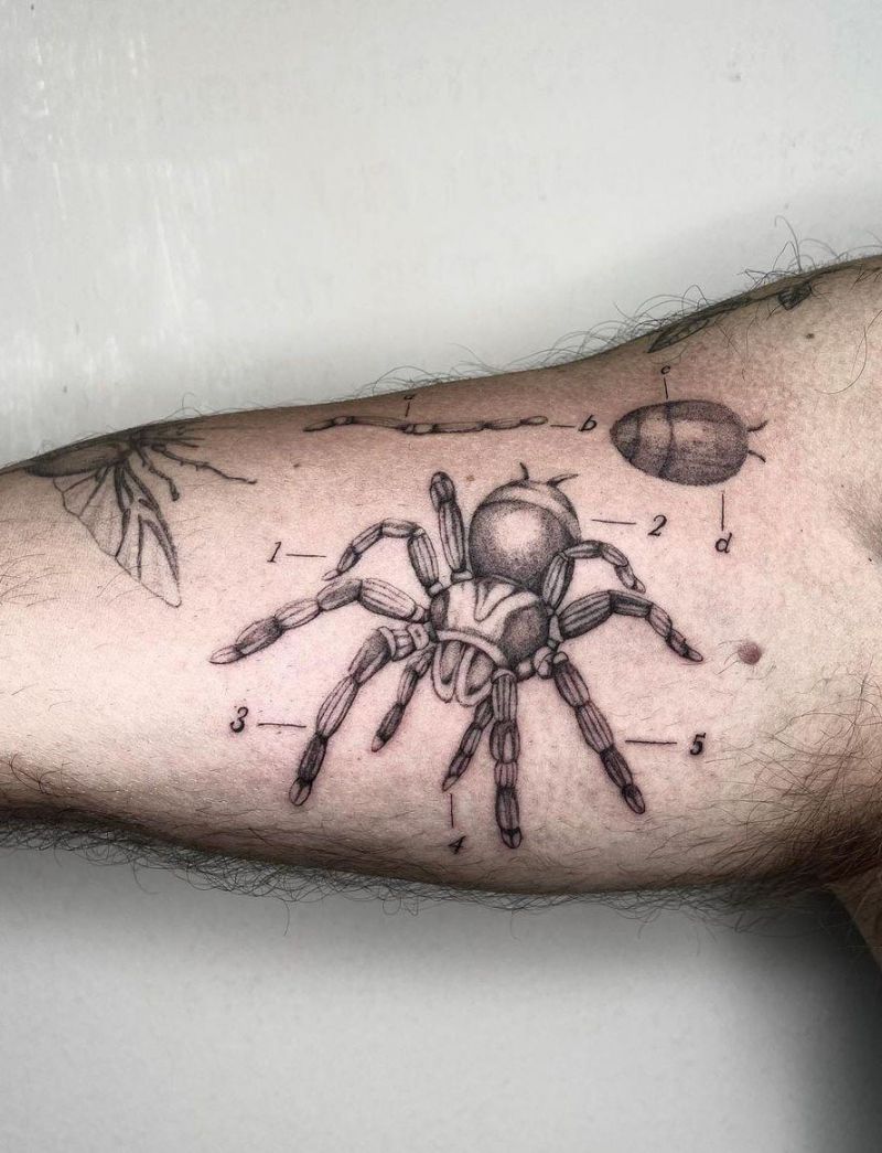 30 Amazing Tarantula Tattoos for inspiration