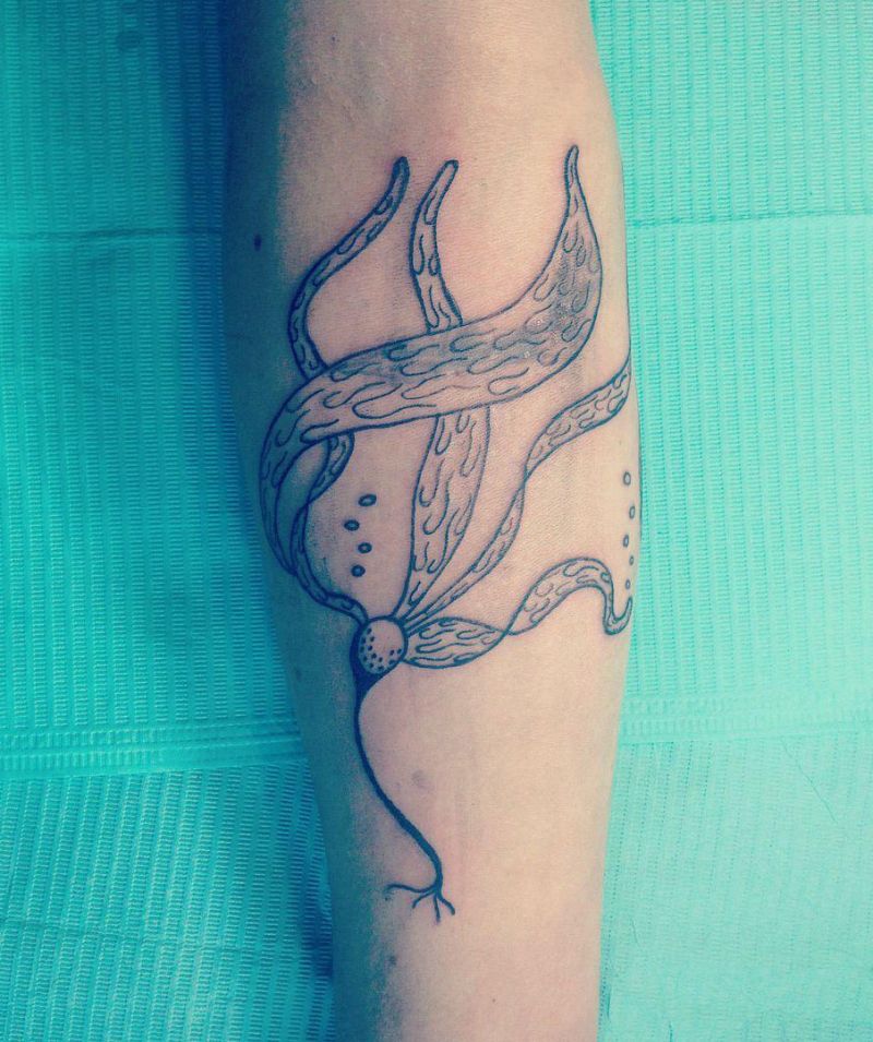 30 Perfect Kelp Tattoos You Must Try