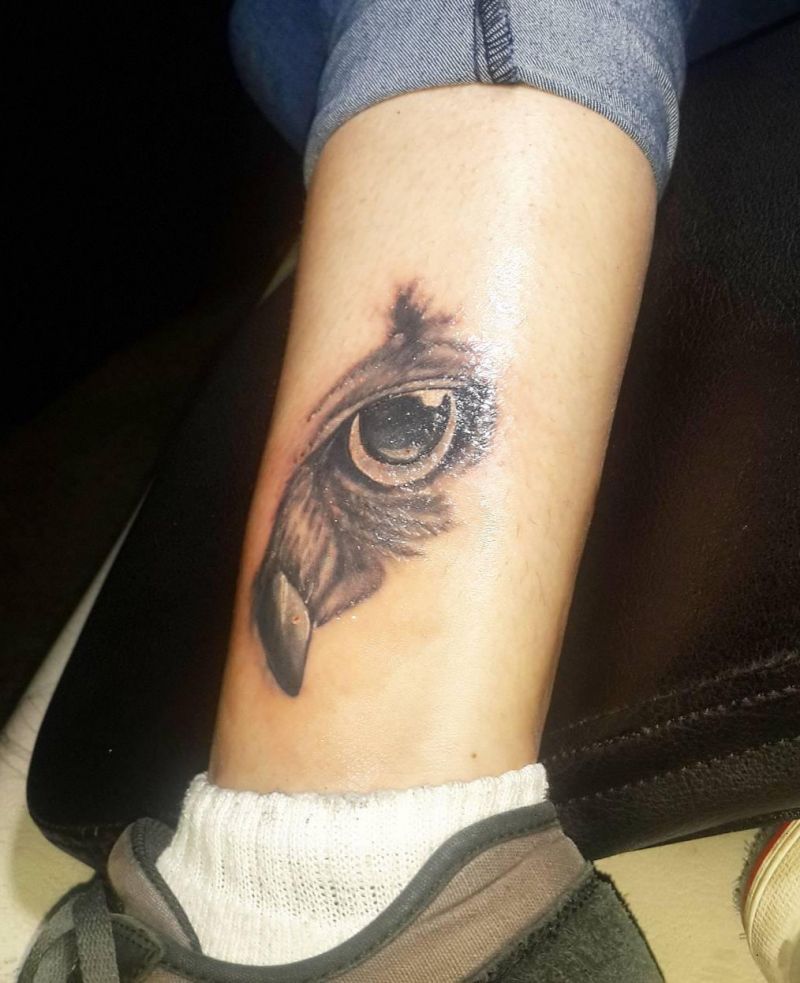 30 Pretty Owl Eye Tattoos You Can Copy