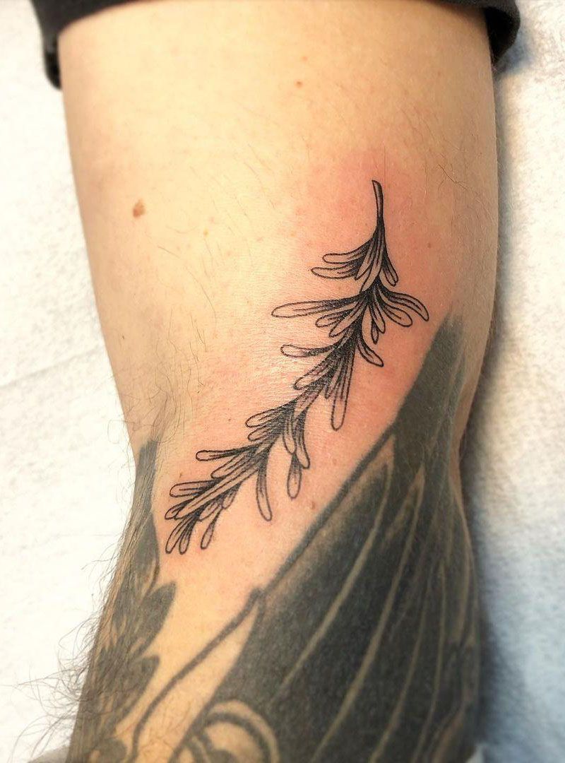 30 Gorgeous Rosemary Tattoos You Can Copy