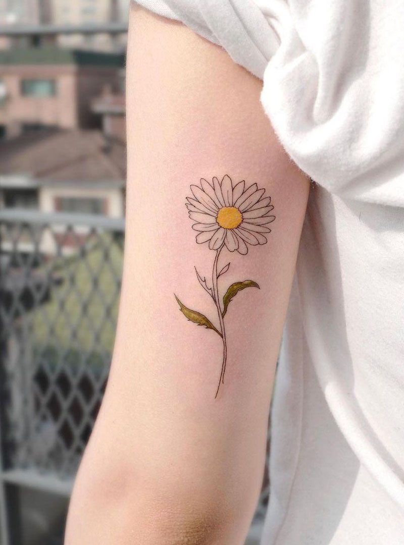 30 Pretty Daisy Tattoos You Will Love