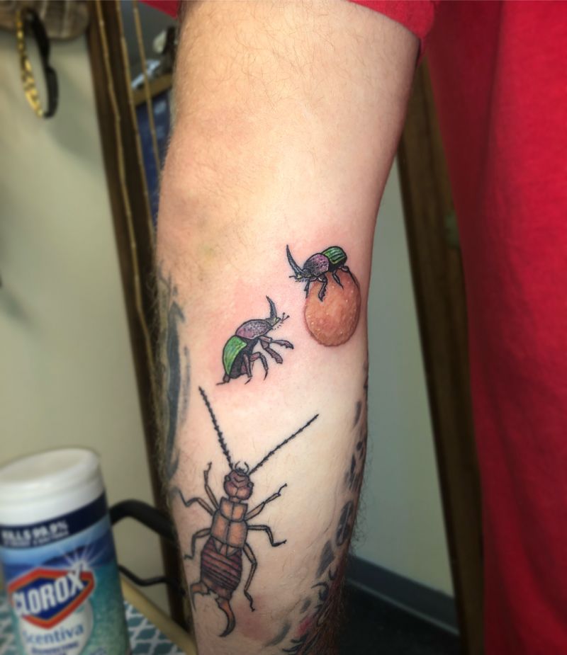 24 Pretty Dung Beetle Tattoos For Inspiration