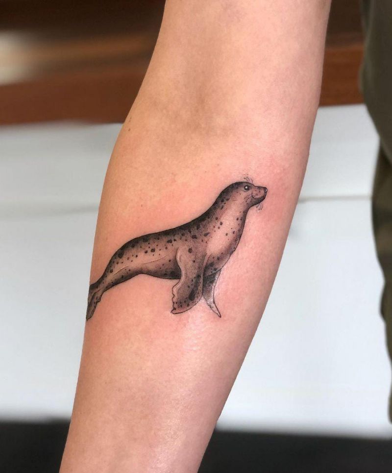 30 Pretty Seal Tattoos You Need to Copy