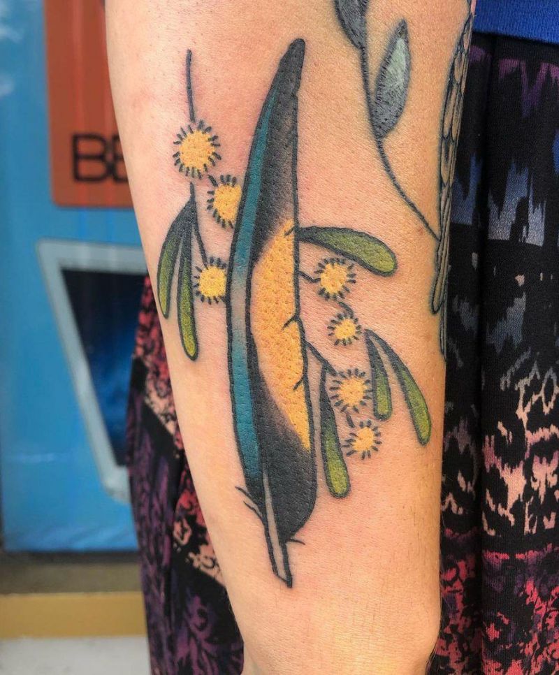 30 Pretty Wattle Tattoos You Need to Copy