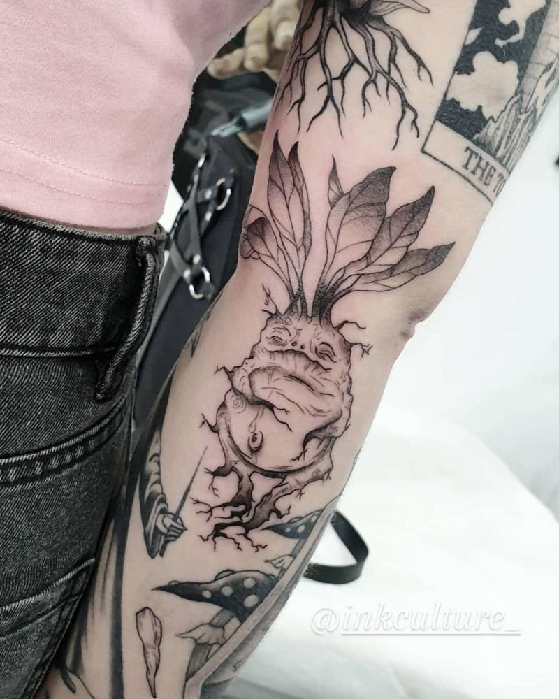 30 Pretty Mandrake Tattoos You Will Love