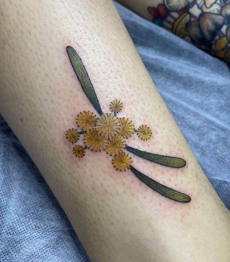 30 Pretty Wattle Tattoos You Need to Copy