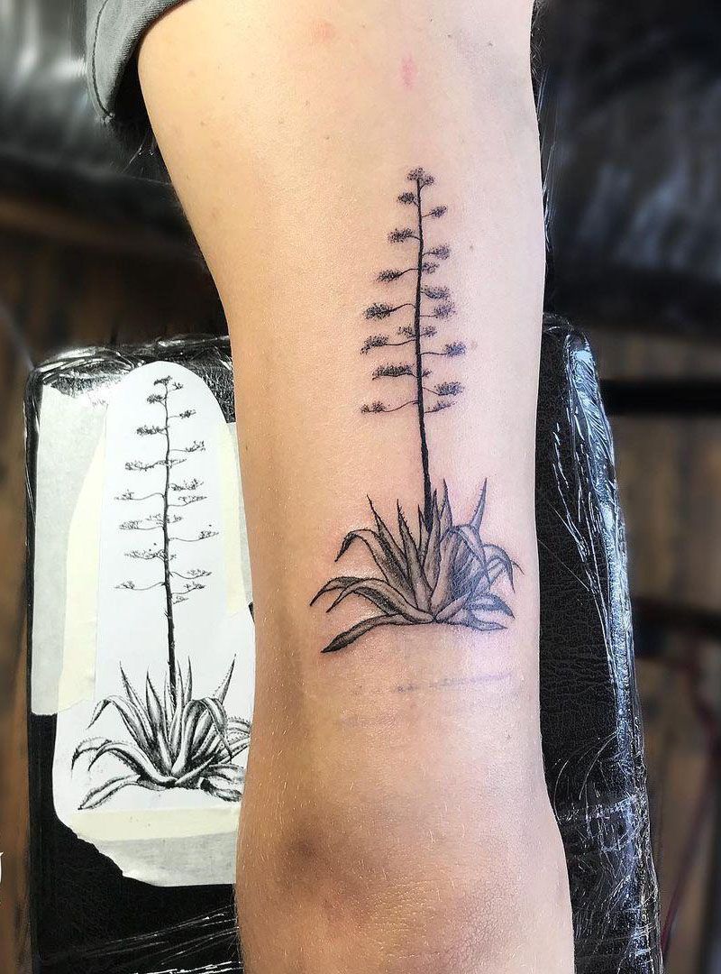 30 Pretty Agave Tattoos Make You Attractive