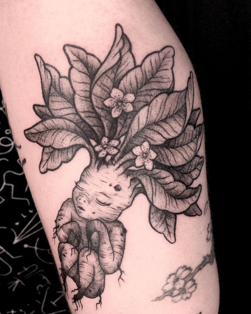 30 Pretty Mandrake Tattoos You Will Love