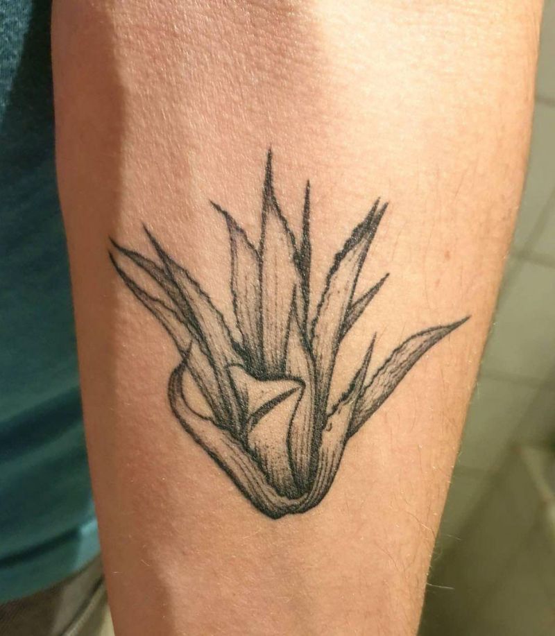 30 Pretty Agave Tattoos Make You Attractive