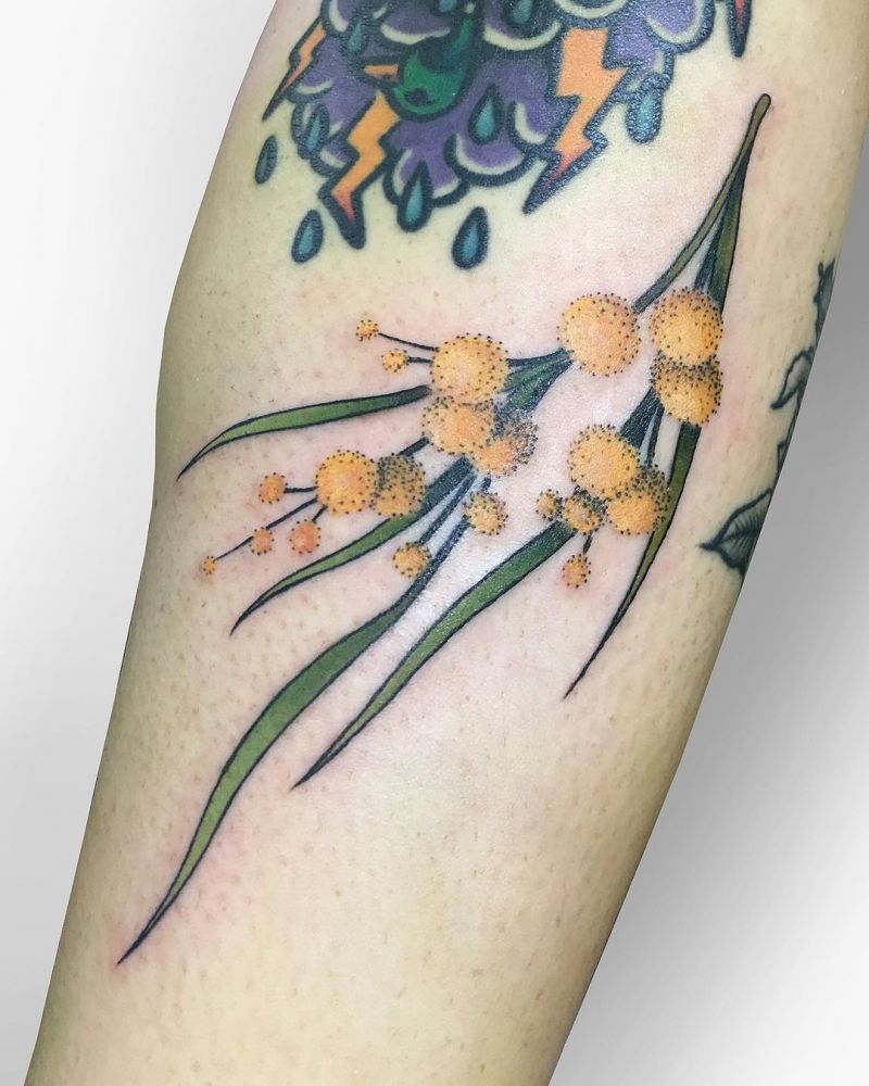 30 Pretty Wattle Tattoos You Need to Copy