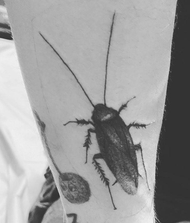 30 Pretty Cockroach Tattoos You Will Love