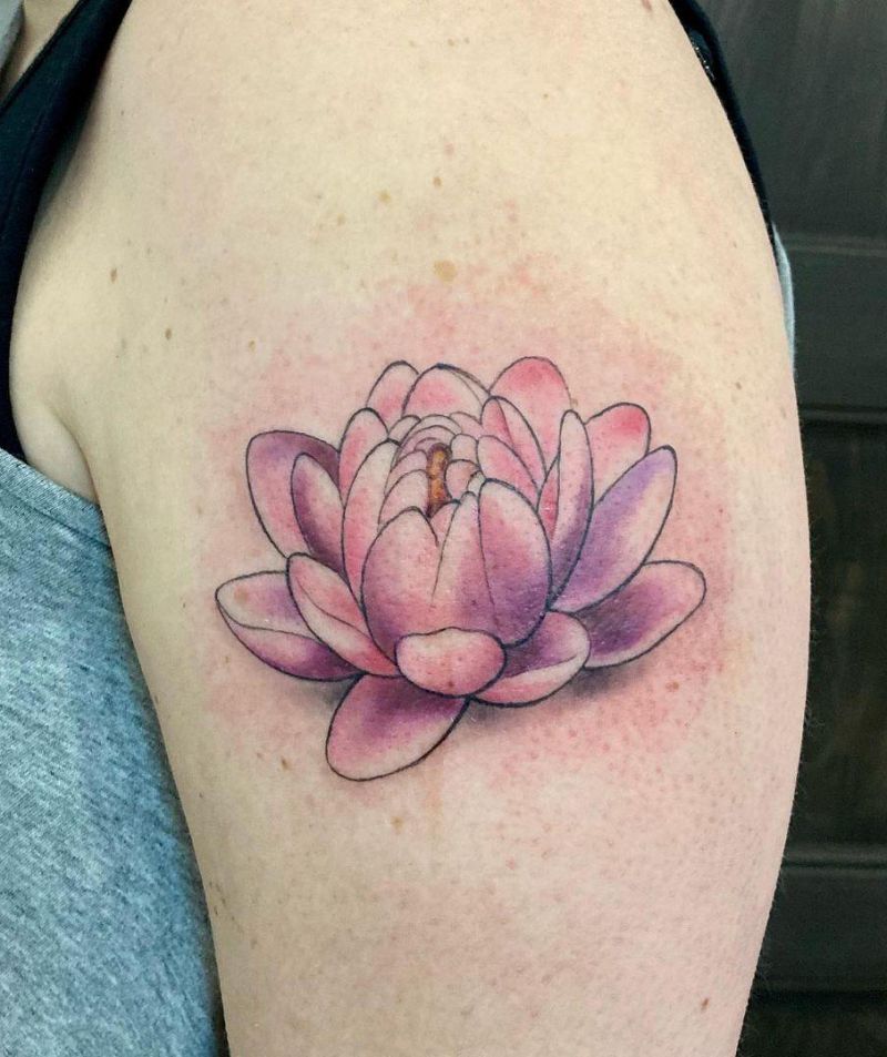 30 Perfect Water Lily Tattoos Make You Attractive