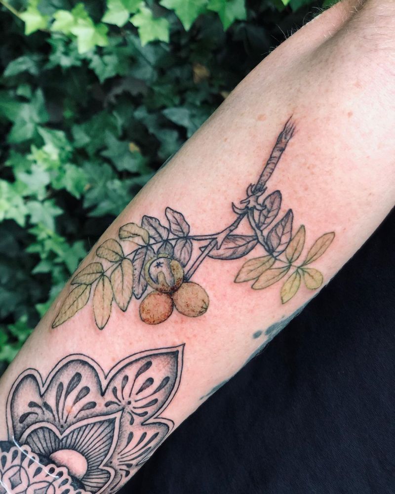 30 Pretty Walnut Tattoos You Must Try