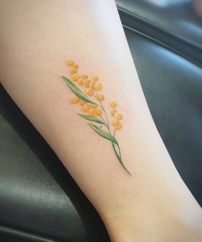 30 Pretty Wattle Tattoos You Need to Copy