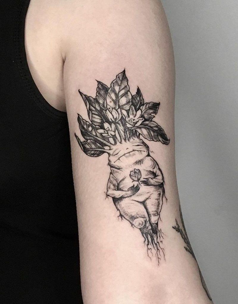 30 Pretty Mandrake Tattoos You Will Love