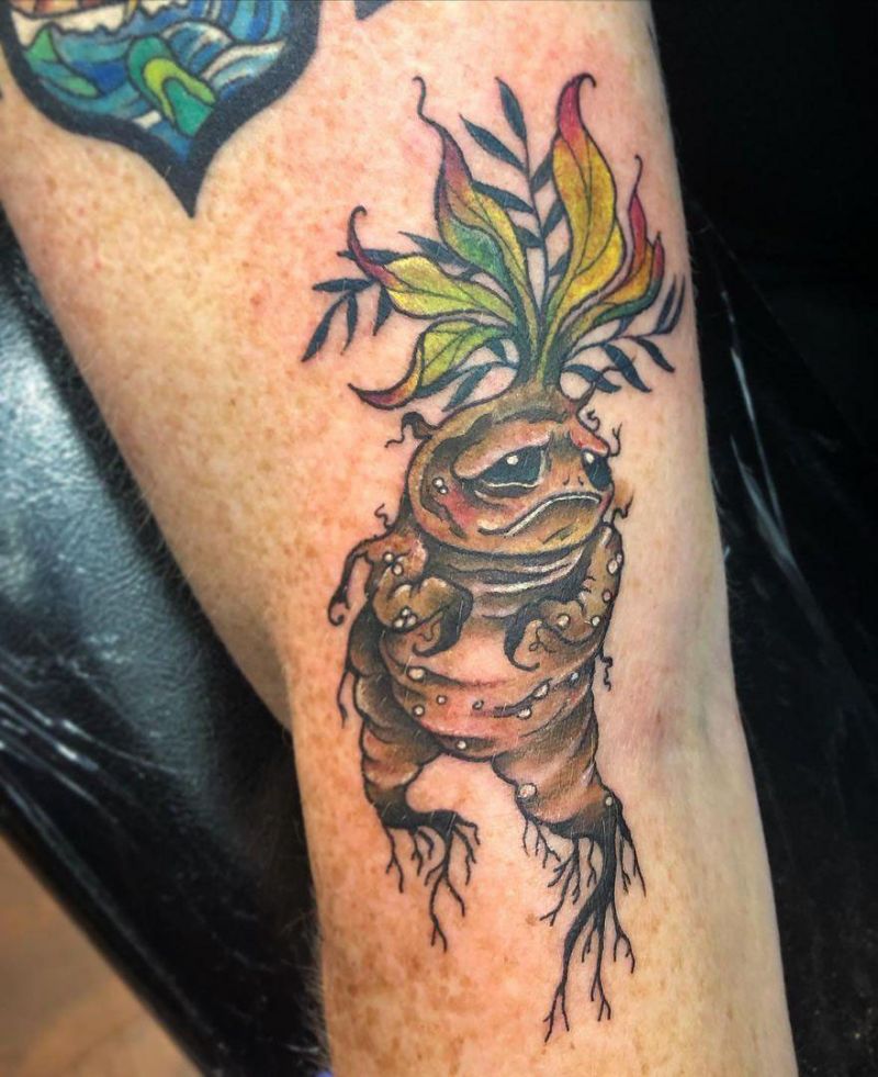 30 Pretty Mandrake Tattoos You Will Love