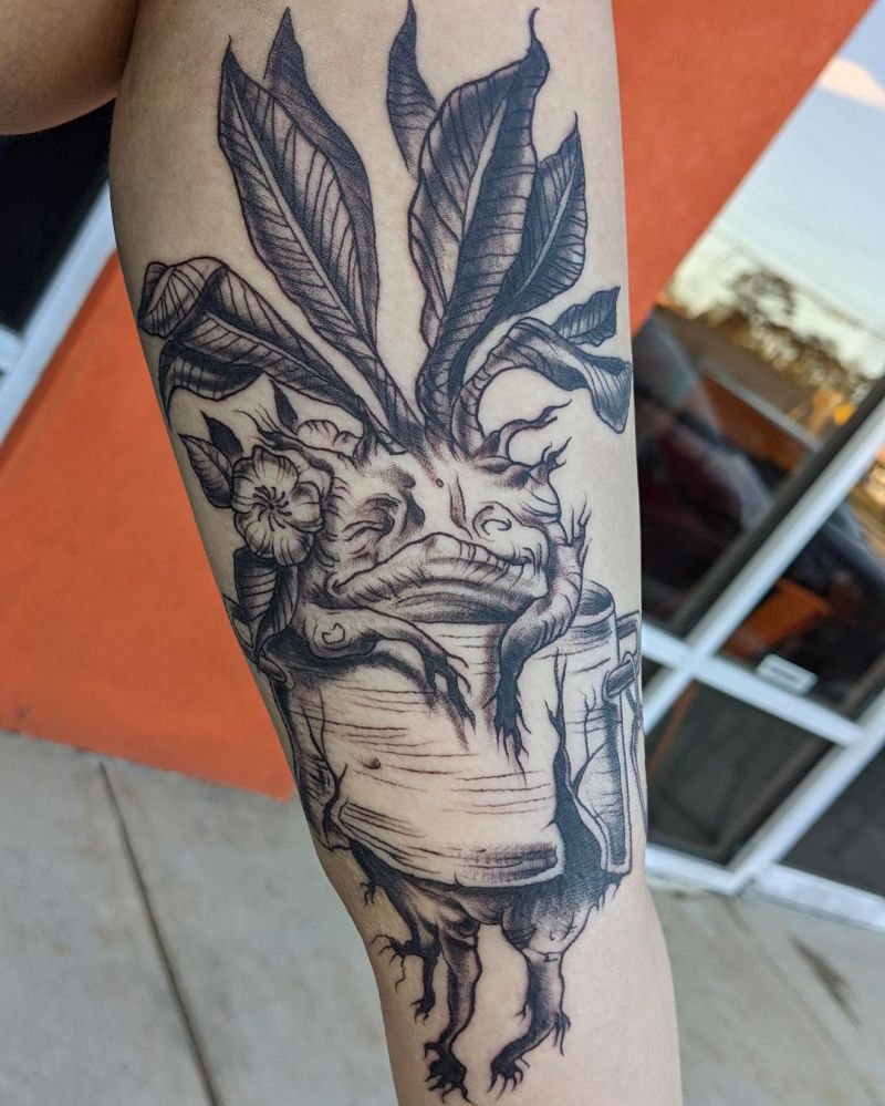 30 Pretty Mandrake Tattoos You Will Love