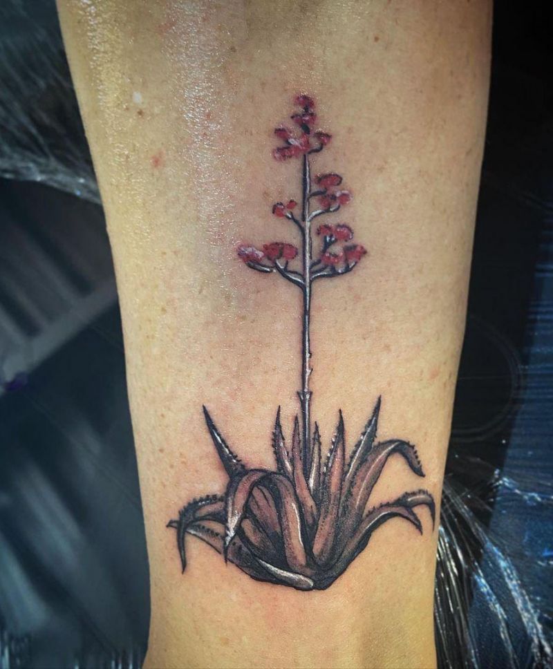 30 Pretty Agave Tattoos Make You Attractive