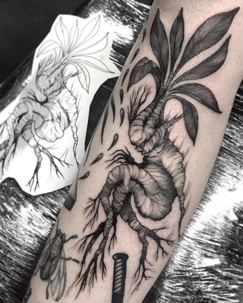 30 Pretty Mandrake Tattoos You Will Love
