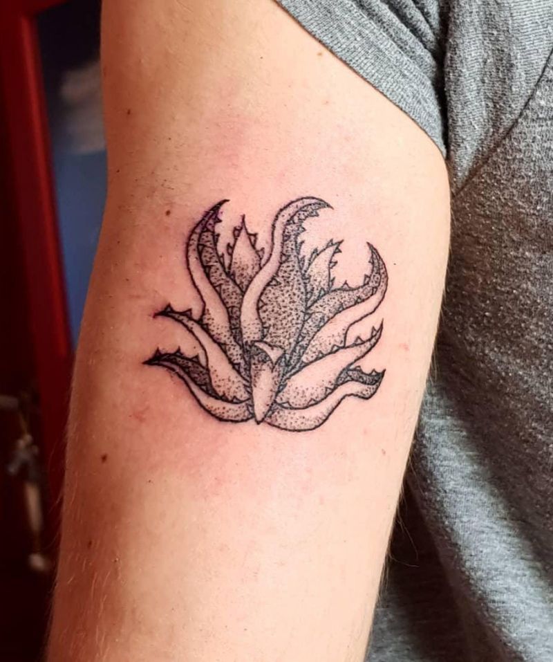 30 Pretty Agave Tattoos Make You Attractive