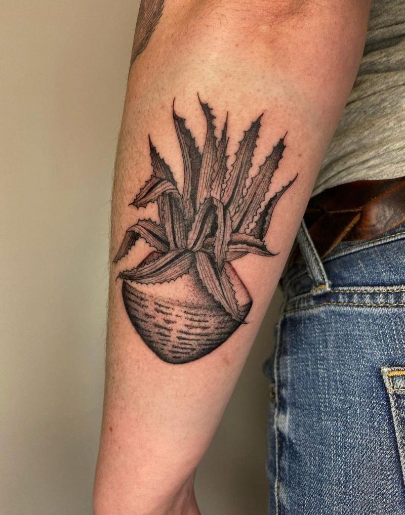 30 Pretty Agave Tattoos Make You Attractive