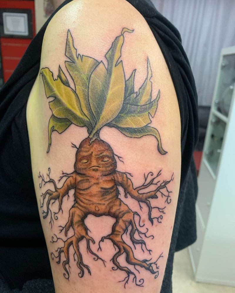 30 Pretty Mandrake Tattoos You Will Love