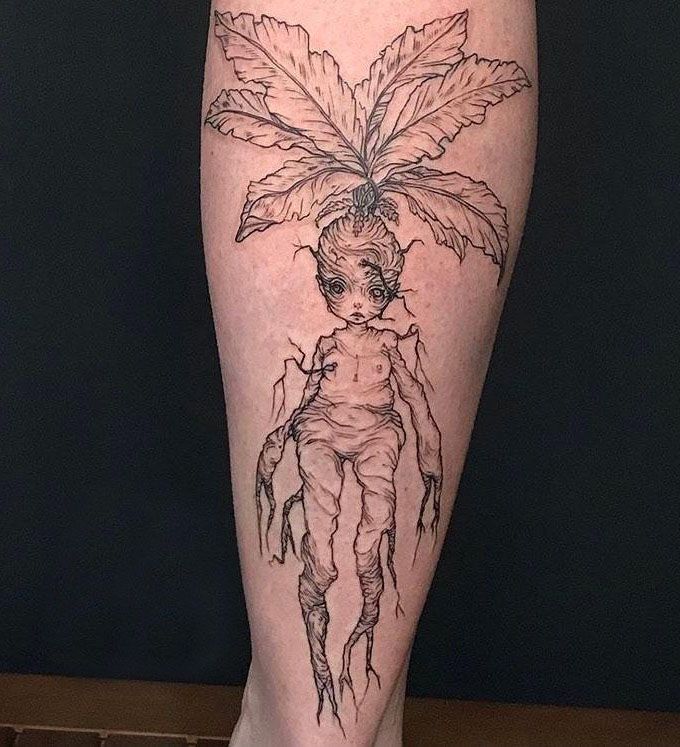 30 Pretty Mandrake Tattoos You Will Love