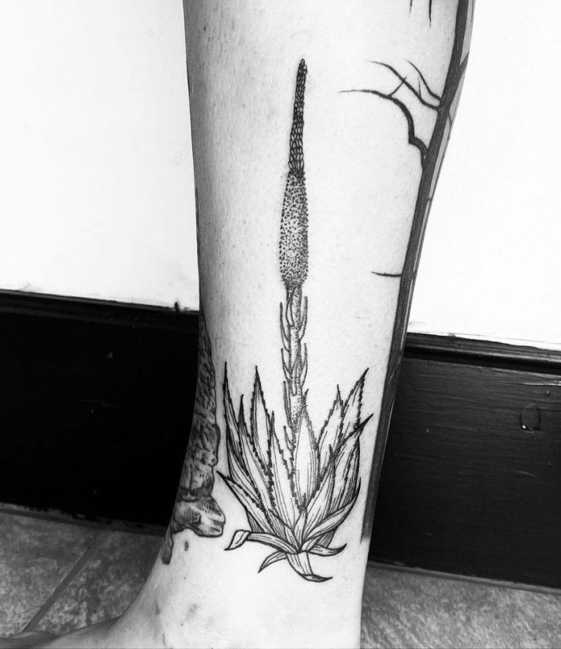 30 Pretty Agave Tattoos Make You Attractive