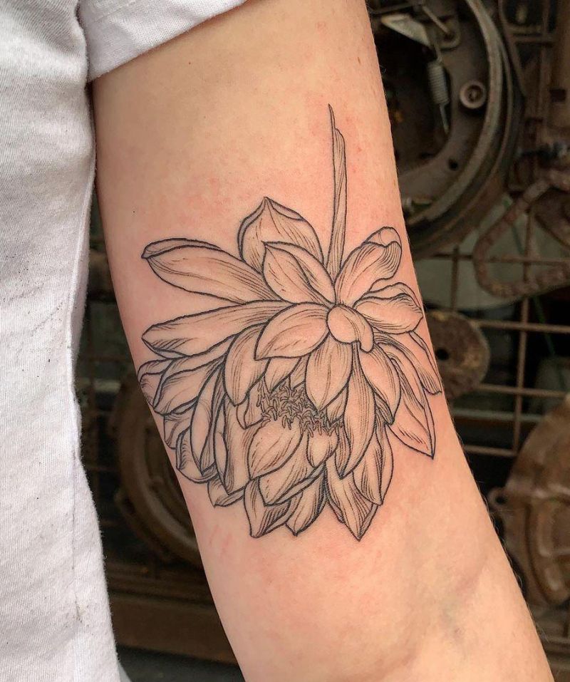 30 Perfect Water Lily Tattoos Make You Attractive