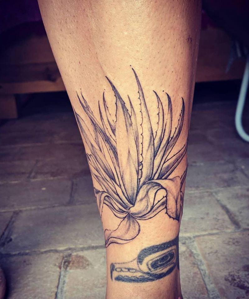 30 Pretty Agave Tattoos Make You Attractive