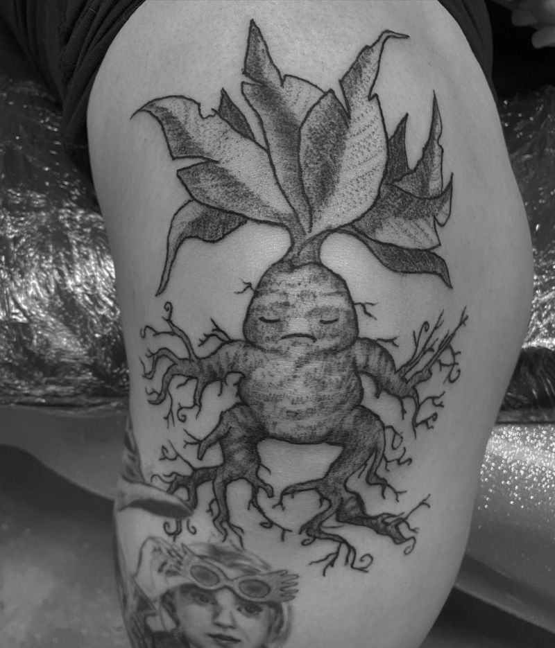 30 Pretty Mandrake Tattoos You Will Love