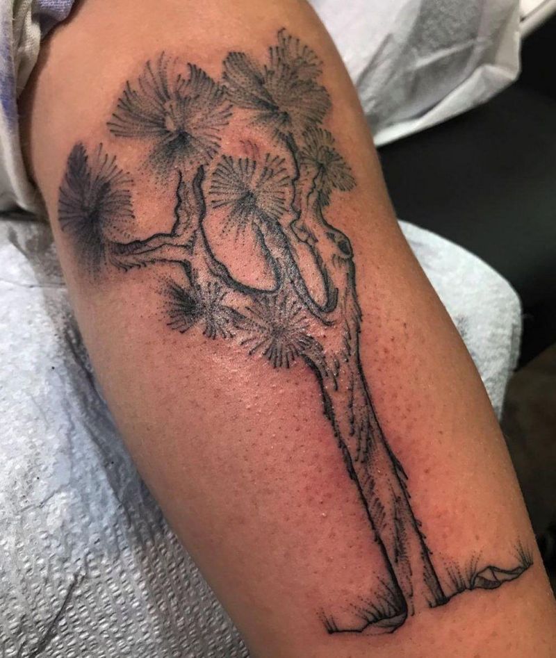 30 Pretty Joshua Tree Tattoos You Must Love