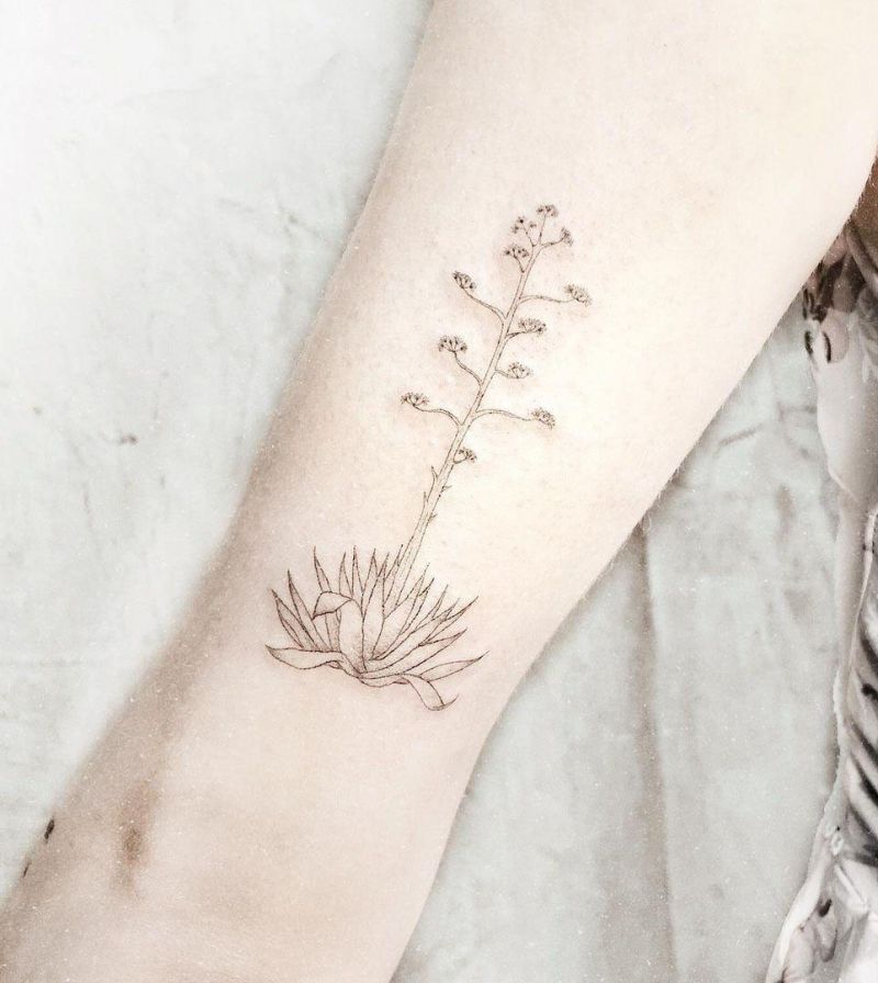 30 Pretty Agave Tattoos Make You Attractive