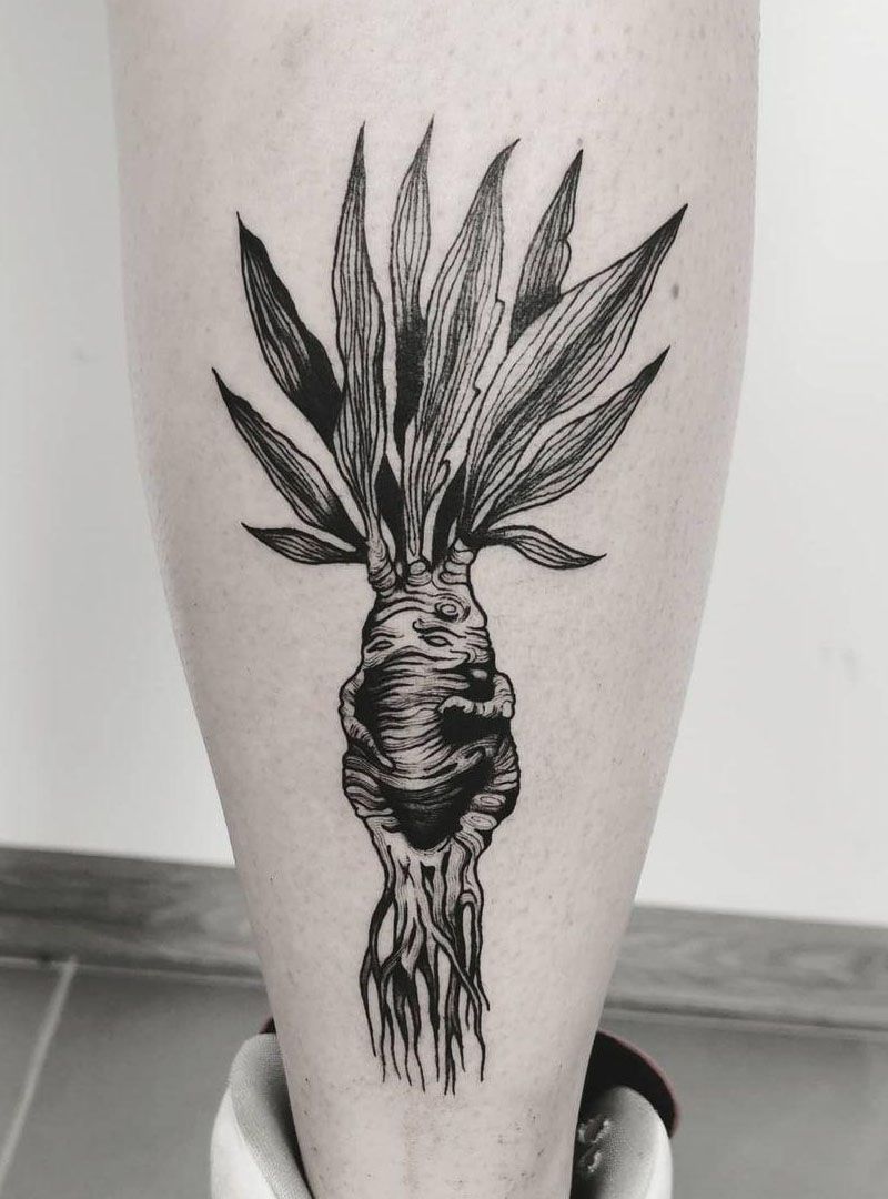 30 Pretty Mandrake Tattoos You Will Love