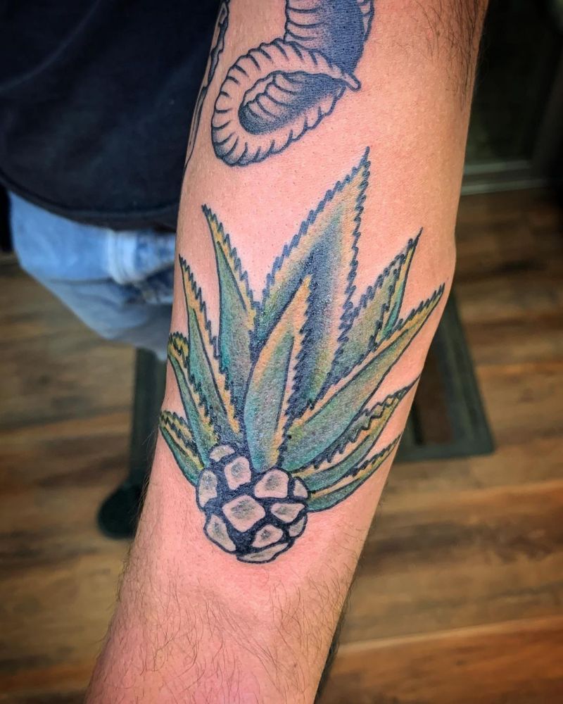 30 Pretty Agave Tattoos Make You Attractive