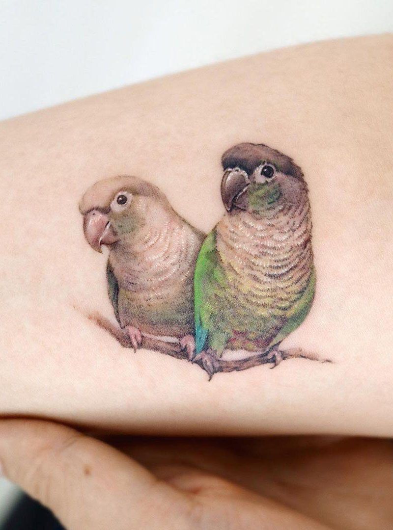 30 Pretty Conure Tattoos You Will Love
