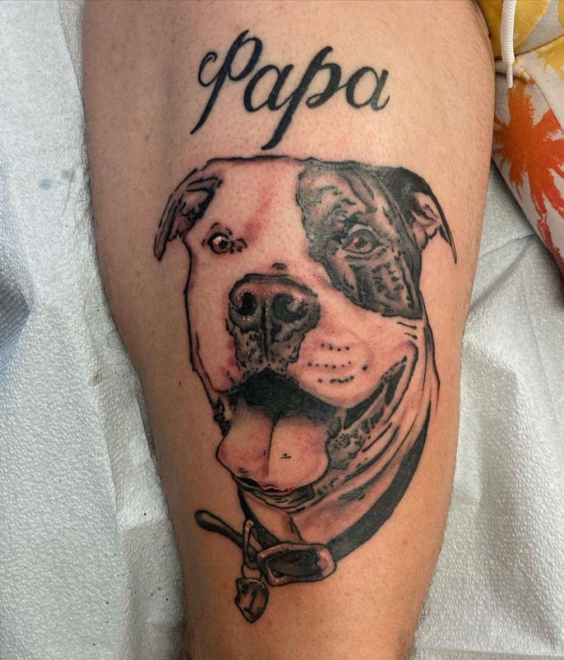 30 Cute Pitbull Tattoos You Must Try