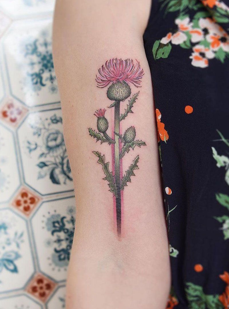 30 Pretty Thistle Tattoos Make You Attractive