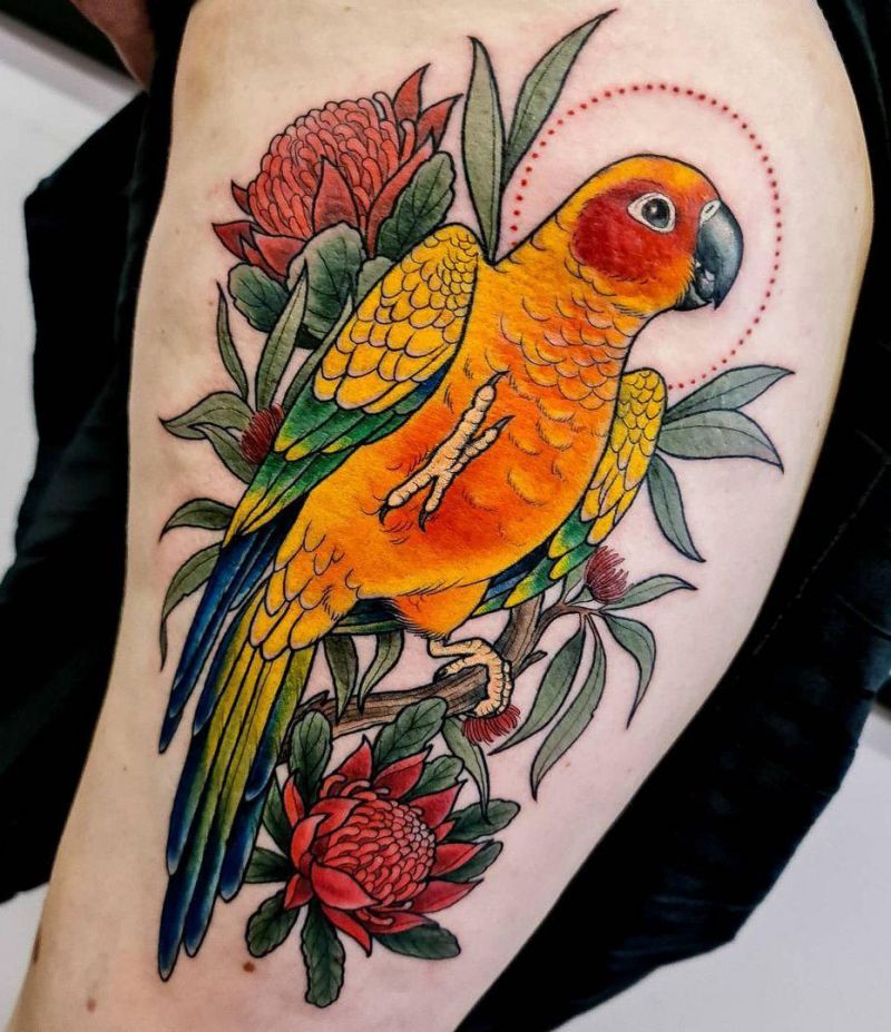 30 Pretty Conure Tattoos You Will Love