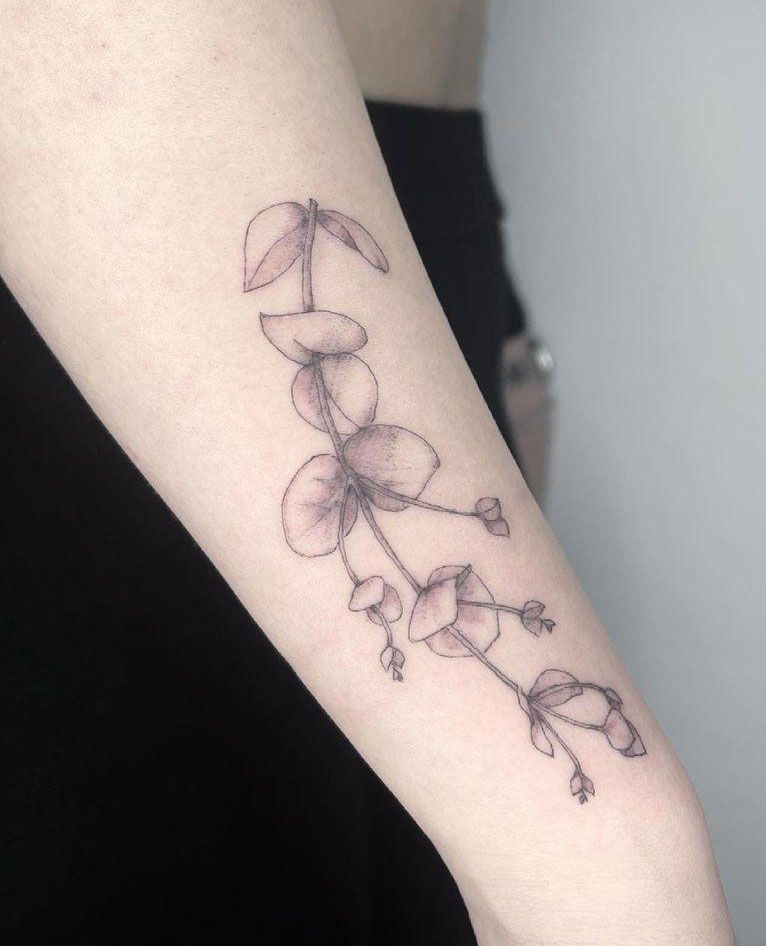 30 Pretty Eucalyptus Tattoos You Must Try