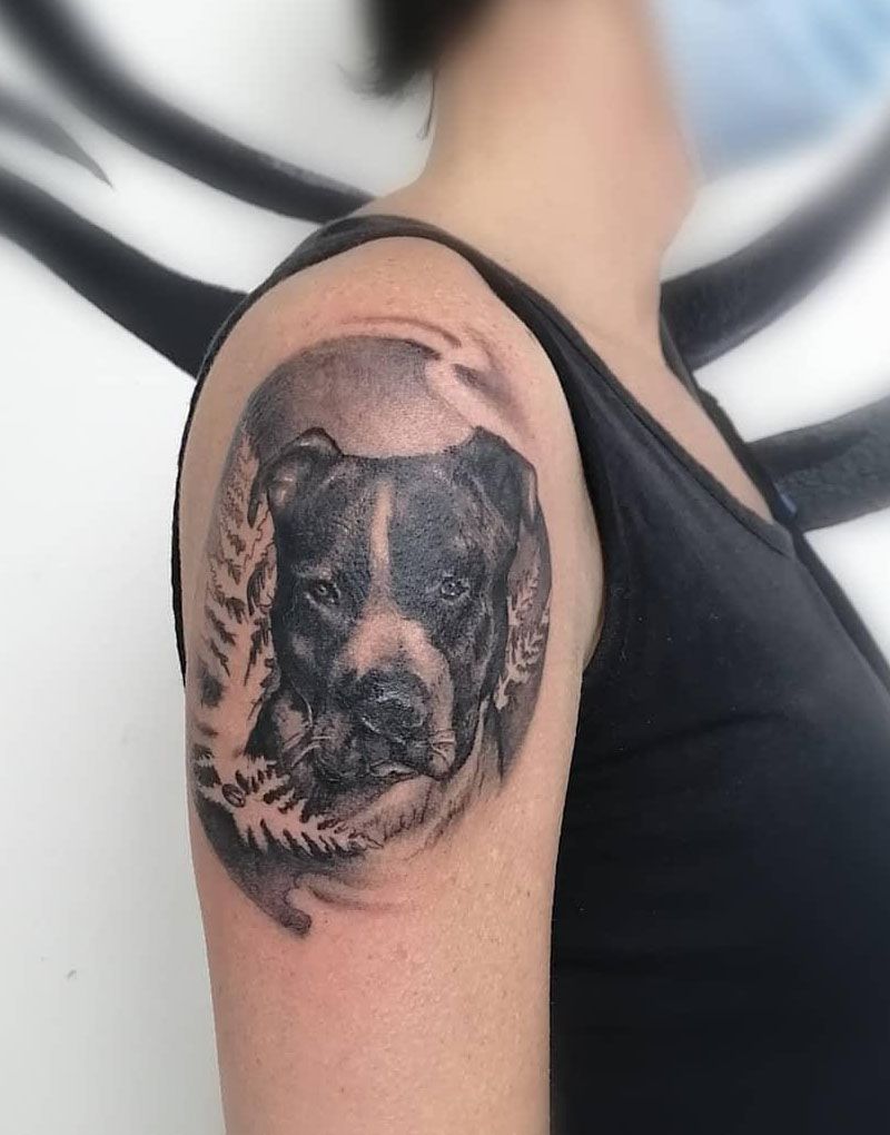 30 Cute Pitbull Tattoos You Must Try