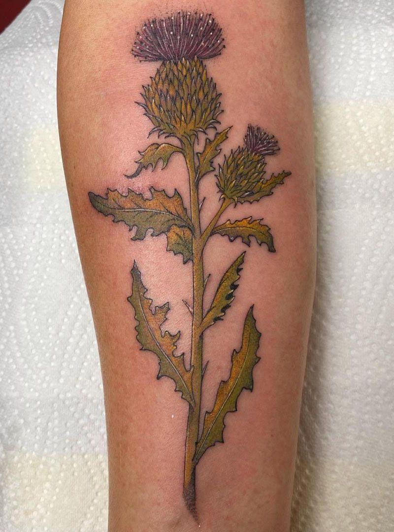 30 Pretty Thistle Tattoos Make You Attractive