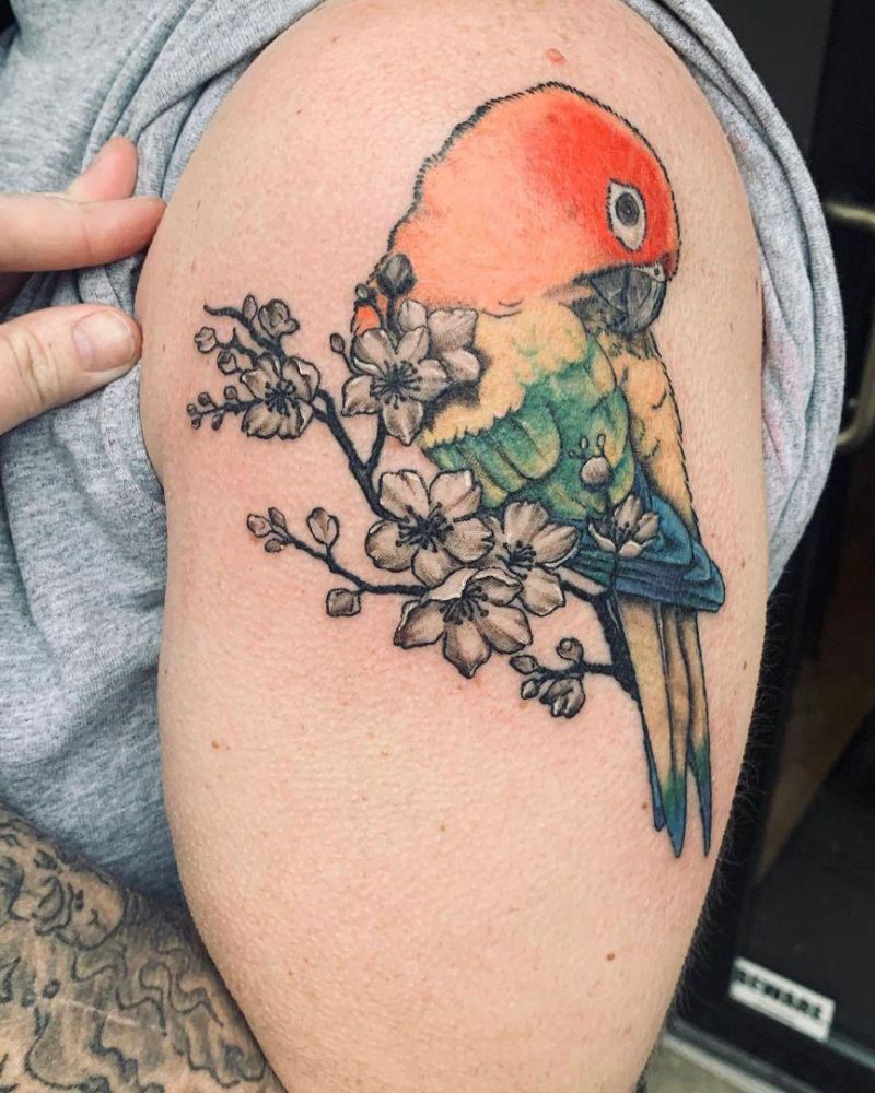 30 Pretty Conure Tattoos You Will Love