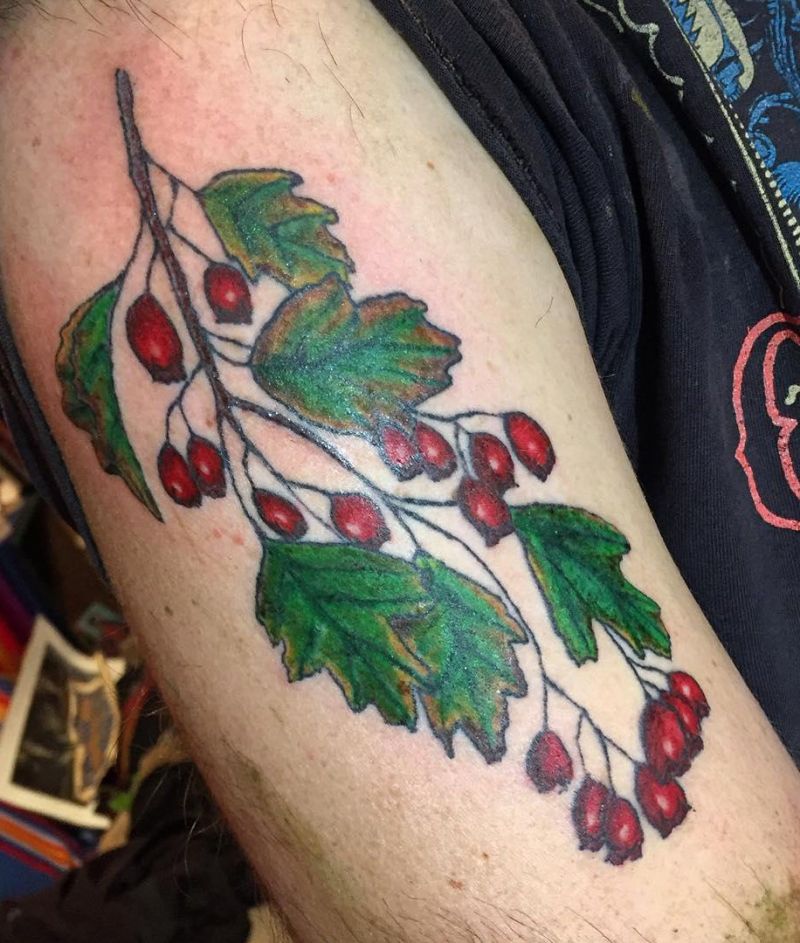 26 Pretty Hawthorn Tattoos You Can Copy