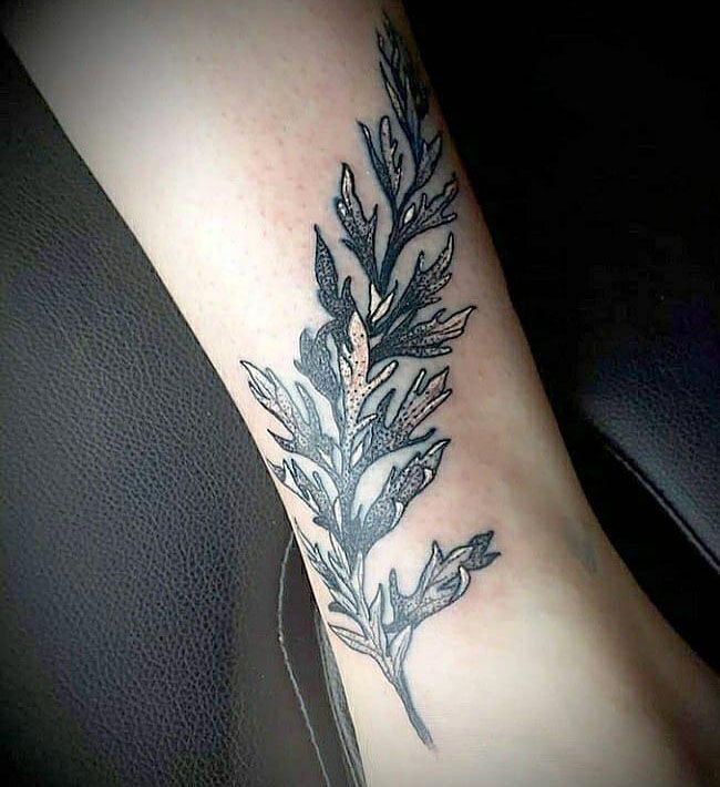 26 Pretty Mugwort Tattoos You Can Copy