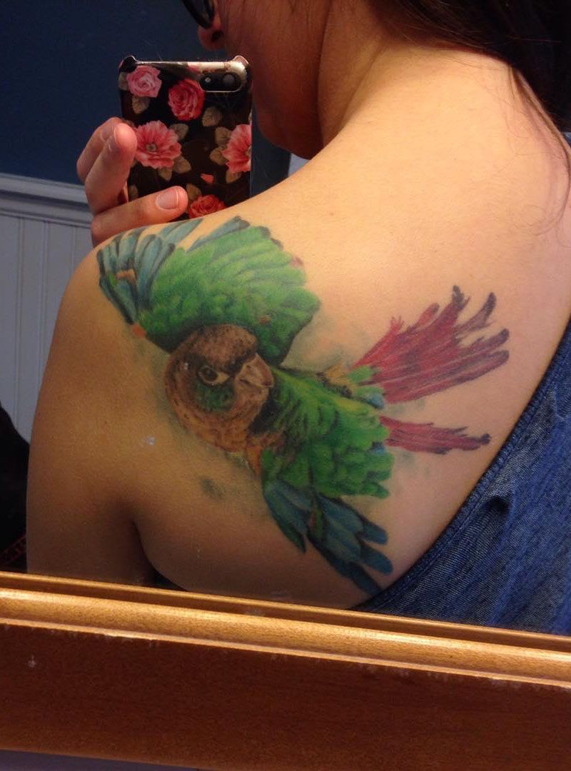 30 Pretty Conure Tattoos You Will Love