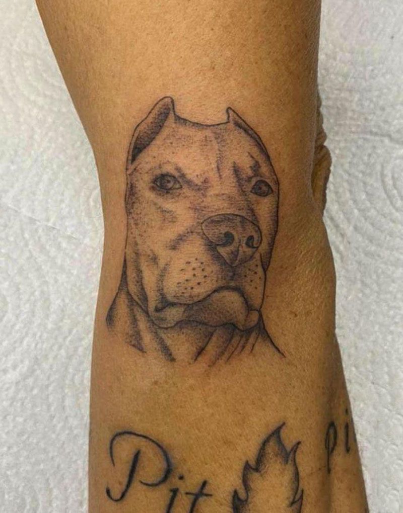 30 Cute Pitbull Tattoos You Must Try